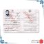 شناسنامه شهید عماد مغنیه