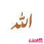 شابلون شله زرد طرح الله